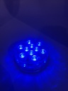 16" LED WP *