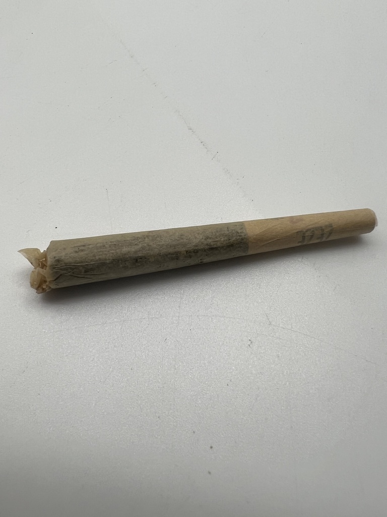 Underdogs Pre Roll