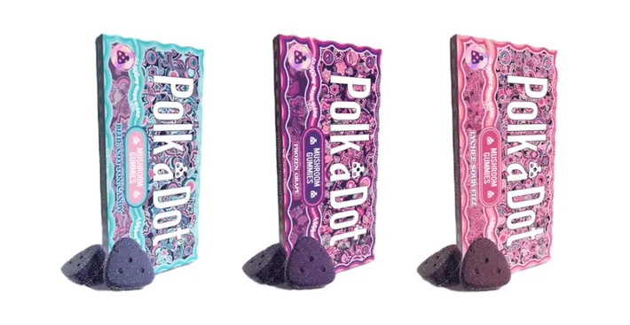 Polkadot Mushroom Magic Blend Gummies 10000mg 10pcs/pk