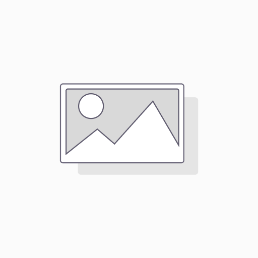 [1001002660] Assorted WP sm